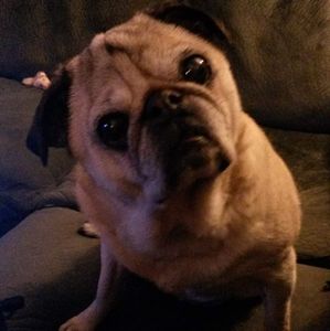 Meet your Posher, Mike